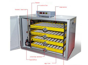 Automatic poultry incubators