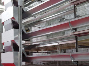 H type battery layer chicken cage,Chicken layer cage