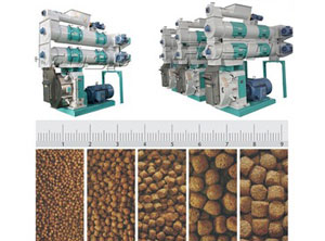 Ring die animal feed pellet mill,ring die pellet press machine