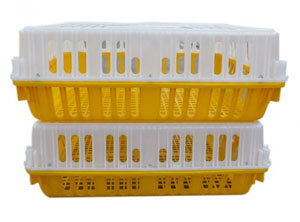 Poultry transport crate,plastic poultry transport crate